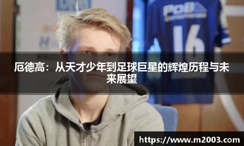 好博体育登陆人口