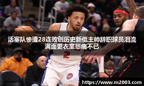 好博体育登陆人口