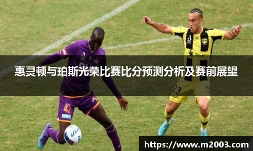 惠灵顿与珀斯光荣比赛比分预测分析及赛前展望